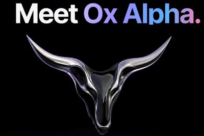 Ox Alpha Emerged as a Powerful OpenAI Rival—Then China's Z.ai Was Revealed as Its Creator