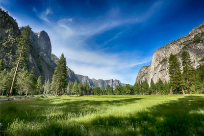 Leaked Files Expose Plan To 'Sell Away' Yosemite Park Parcel for Highest-Bidding Luxury Resort Construction