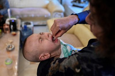 Flu Antivirals Started Within Two Days Are Linked to 81 Percent Lower Hospitalization Risk in Children