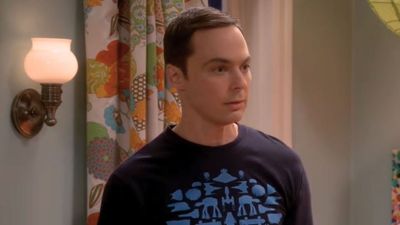 The Big Bang Theory Set A New Viewership Record, And I Think We Need A Convo About The Its Legacy