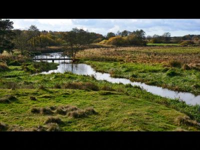 In 1987, Denmark launched restoration of 2,200 hectares around the Skjern River. 19 years later, SPA status arrived in 2006 as wildlife returned to the restored wetlands
