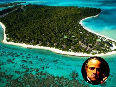 In 1966, Marlon Brando bought a remote Pacific atoll after filming ‘Mutiny on the Bounty’; today, its protected beaches are a major nesting site where 15,614 green turtle hatchlings were recorded in one season