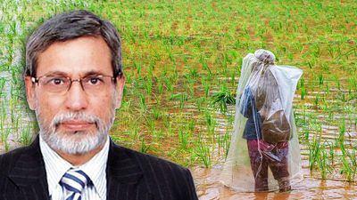 What does a 13% rainfall deficit mean for India’s kharif crop?