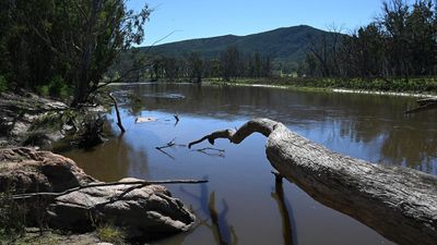 Irrigators defeated in case over lost Murray water