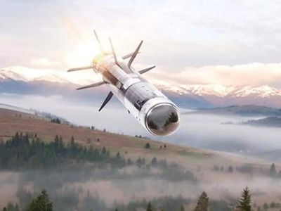 Tata Advanced Systems locks on to Javelin missile co-production in India