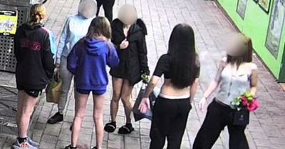 Police seeking witnesses after alleged assault on young girl in Civic