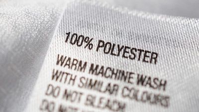 ‘Polyester’: Understanding Gen Z’s new favourite insult (and why it’s a good thing)