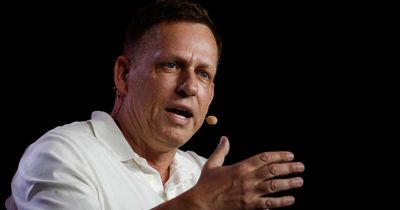 Palantir boss given VIP viewing of Bayeux tapestry by British Museum