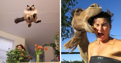 This Page Shared 50 Funniest Animal Photos That Deserve A Comedy Award