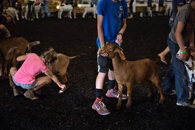 Rabid Baby Goats Visited Ten Events Across Seven North Carolina Counties Before Anyone Knew They Were Infected