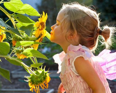 Smelling test: children need education in sniffing aromas, scientist says