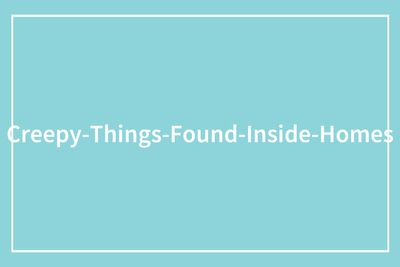 56 Disturbing Things People Spotted In Someone Else’s Home That They Were Not Supposed To See