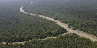 Ecological collapse in the world’s largest mangrove forest is a preview of what’s to come