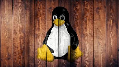 It's 35 years since Linus Torvalds first revealed Linux, calling it 'just a hobby' — how wrong he was