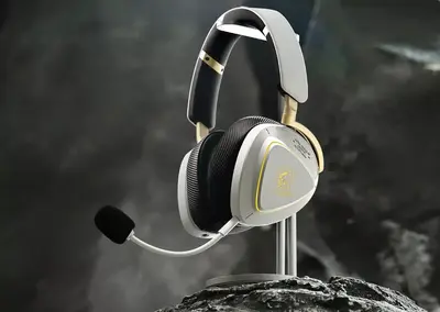 Diehard Asus customer gets RMA denied for a cheap 2.4 GHz headset receiver despite spending more than $30,000 with the brand — firm refuses to send a cheap dongle, then relents after social media backlash