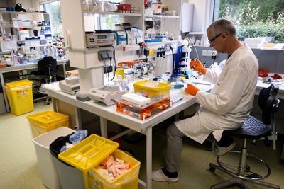BioNTech Halted a Cancer Vaccine Trial, and Genentech Says There Were More Deaths in the Vaccine Group