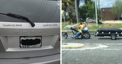 73 Unhinged Moments That Could Only Happen In Florida