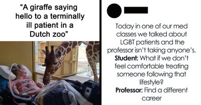102 Wholesome Posts That Feel Like A Tiny Break From Everything Going Wrong