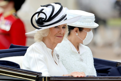 Queen Camilla Could Get Airport Named After Her as Ex-MP Calls for Honour Over British Contribution