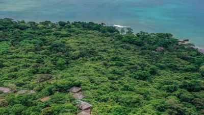 In 1990, John and Karen Lewis bought 1,000 acres of Costa Rican rainforest to stop it being logged; the reserve now shelters monkeys, sloths and over 300 bird species