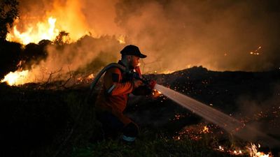 Indonesia wildfire crisis: 19 companies under scrutiny as 2 lakh hectares burnt