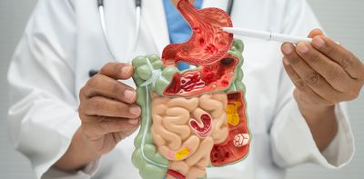 Three discoveries that transformed how we understand nutrition
