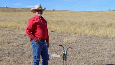 In 2014, a Colorado couple bought land to build a family ranch; by 2025 bird species had risen from 29 to 37 and grassland-bird detections doubled from 178 to 356