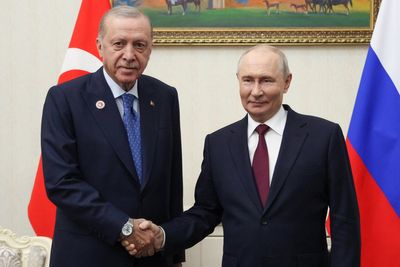 Turkey's Erdogan signals further nuclear projects with Russia