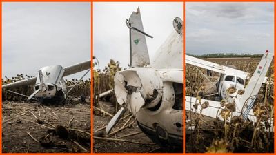 Drunk pilot flies a stolen plane near a nuclear plant at less than 20,000 feet. Then he crashes into a sunflower field