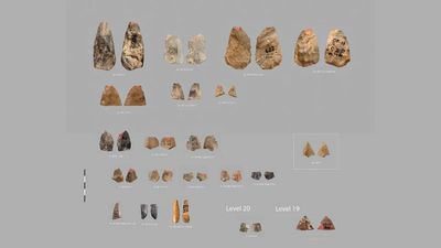 80,000-year-old stone points in Uzbekistan resemble weapons used in France 25,000 years later, raising questions about how humans reached Europe