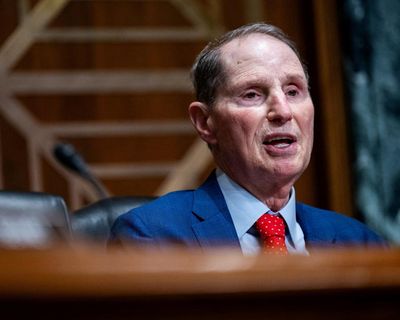 US lawmakers demand investigation into Trump administration’s secret surveillance of Americans