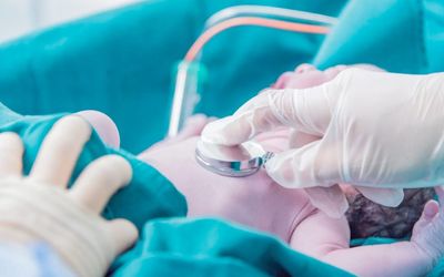 She Gave Birth in Front of a Court Witness: DNA Still Said the Baby Wasn’t Hers