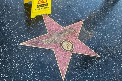 Dolly Parton's Hollywood Walk of Fame Star Scratched Over: Family With Flowers Finds Heartbreaking Vandalism