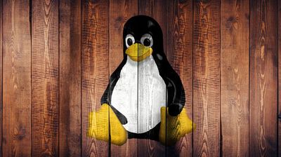 Linux manages to avoid the age verification apocalypse, but SteamOS isn't in the clear yet