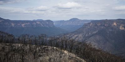 Despite years of rain, Blue Mountains forests still haven’t recovered from the Black Summer megafires
