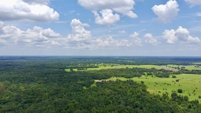 A first-generation Florida rancher spent years saving to buy 660 acres; he is now protecting it for panthers and snakes