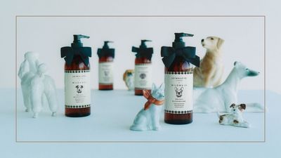 Jo Malone has just launched an exciting new product – the first of its kind, and it's Tom Hardy-approved