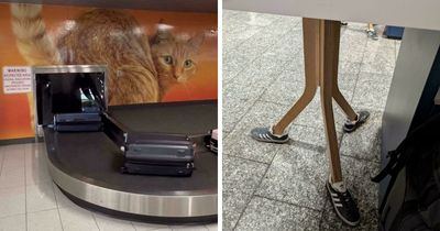 56 Hilarious And Weird Things Spotted At Airports That Nobody Could Have Prepared For