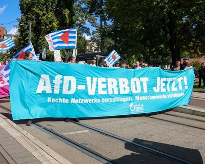 The shadow of the AfD hangs over German democracy – but I still have faith in my adopted country