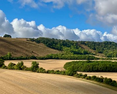 Country diary: The rain has come, and suddenly the land looks (and smells) different