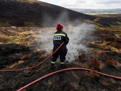Drought, wildfires & a brutal 'once-in-a-millennium' summer plague Britain