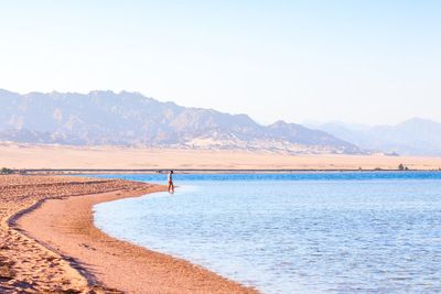 Sixteen dead in bus crash on Egypt’s Red Sea Coast