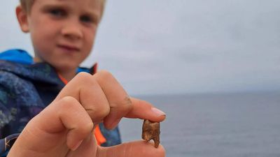 Meet Arthur, the 7-year-old British boy who found ancient human teeth while exploring a Cornish coastline