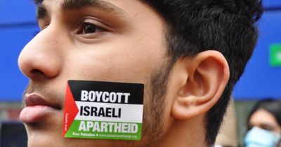 UK must end all trade with Israel, not just sanctions, BDS co-founder urges