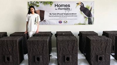 Meet Yanin ‘Proud’, a 17-year-old Thai student who built artificial hornbill nests from recycled plastic and won two global conservation awards