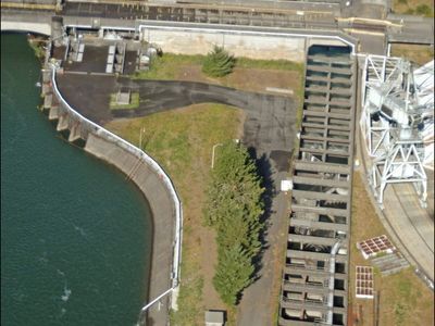 The U.S. Army Corps of Engineers spent $7 million on fish ladders in 1938 to move salmon past Bonneville Dam; decades later, the system carries 1 million a season in good years