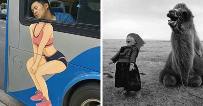 33 Times People Snapped Photos At Just The Right Moment For A Hilarious Result, As Shared By This Page