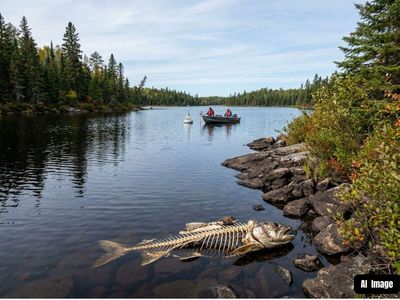 Lake 223 acid rain experiment: Scientists added sulfuric acid to an Ontario lake for 17 years. The water recovered, but the fish didn’t