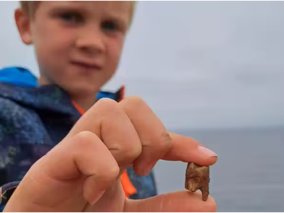 A 7-year-old found human teeth on UK's Cornish coast. They may be linked to the 1721 Royal Anne Galley wreck