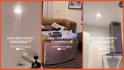 Airbnb guest says she came back from dinner to find couch ‘destroyed.’ Now, Airbnb is allegedly charging her $20k over damage she had ‘no control’